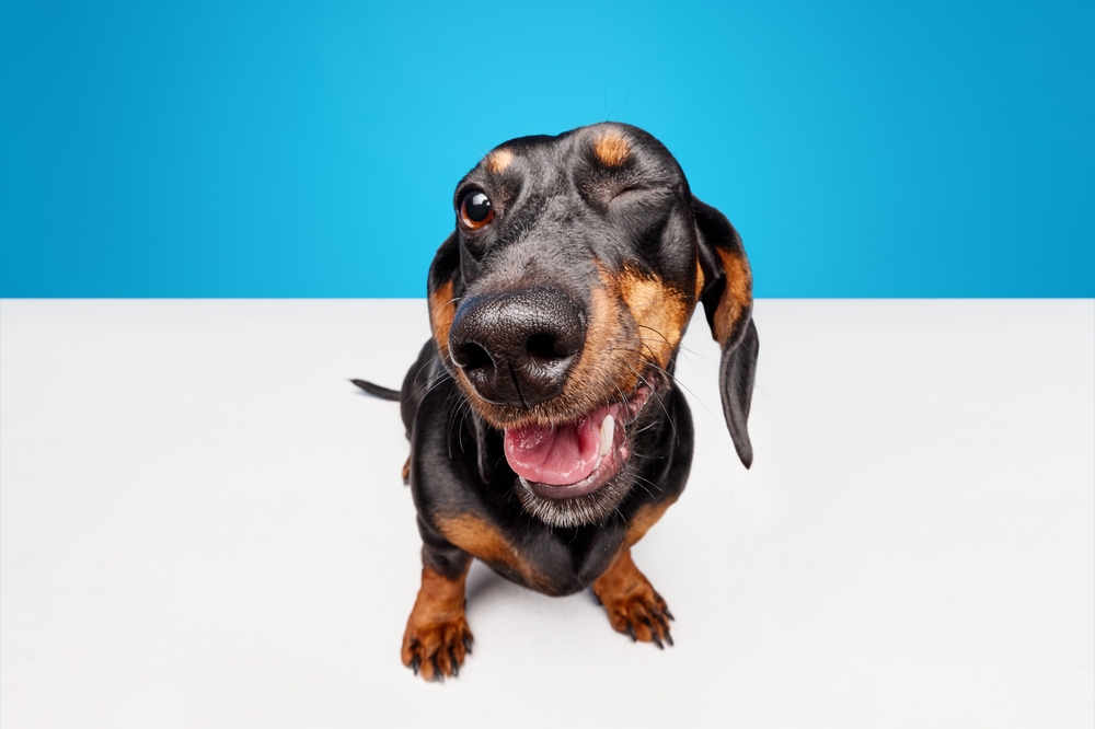 Post 5: Post Title Goes Here Post 5: Post Title Goes Here